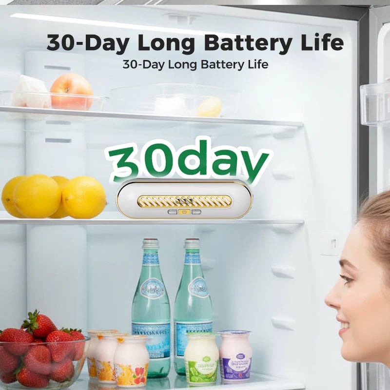 Rechargeable Portable Fridge Sterilizer - image 4