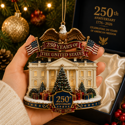 ❤️✨USA 250th Anniversary White House Christmas Ornament