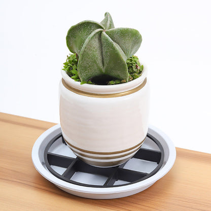 📢📢50% OFF !! ⏰Root-Saving Pot Riser – elevates planters, promotes airflow, keeps floors clean – for indoor & outdoor use. 🔥🏠 - image 2